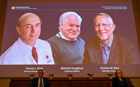 Nobel y sinh 2020: Virus viêm gan C được tìm thấy thế nào? - Ảnh 1. Nobel y sinh 2020: Virus viêm gan C được tìm thấy thế nào? - Ảnh 1.