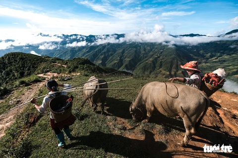 Biển mây ôm núi, vờn gió ở Háng Đồng - Ảnh 5. Biển mây ôm núi, vờn gió ở Háng Đồng - Ảnh 5.