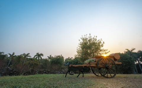 Bình minh có ‘bất cứ đâu’ tại khu đô thị ven Hà Nội - Ảnh 7. Bình minh có ‘bất cứ đâu’ tại khu đô thị ven Hà Nội - Ảnh 7.