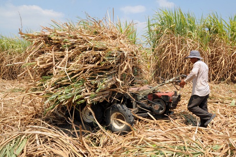 Mía đường La Ngà bị phạt hơn 4 tỉ đồng - Ảnh 1.