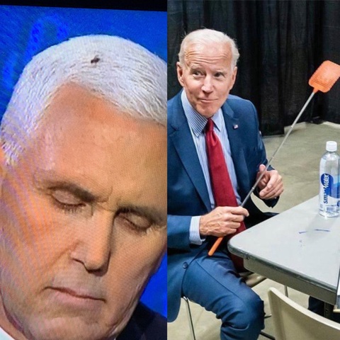 Ruồi đen tiên tri chiếm sóng 2 phút trong tranh luận Pence - Harris - Ảnh 2. Ruồi đen tiên tri chiếm sóng 2 phút trong tranh luận Pence - Harris - Ảnh 2.