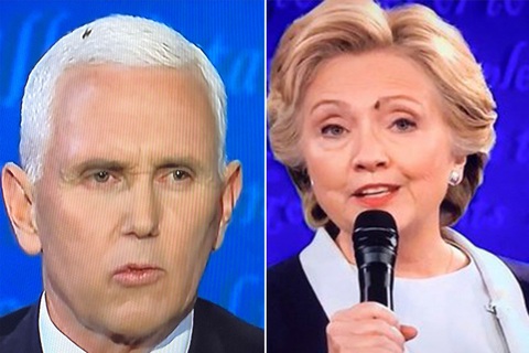Ruồi đen tiên tri chiếm sóng 2 phút trong tranh luận Pence - Harris - Ảnh 3. Ruồi đen tiên tri chiếm sóng 2 phút trong tranh luận Pence - Harris - Ảnh 3.