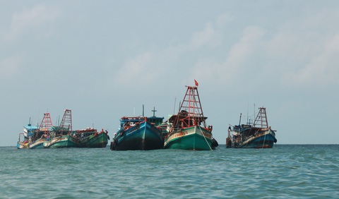 Xử phạt tiền tỉ hàng chục tàu cá vi phạm khi đánh bắt trên biển - Ảnh 1. Xử phạt tiền tỉ hàng chục tàu cá vi phạm khi đánh bắt trên biển - Ảnh 1.