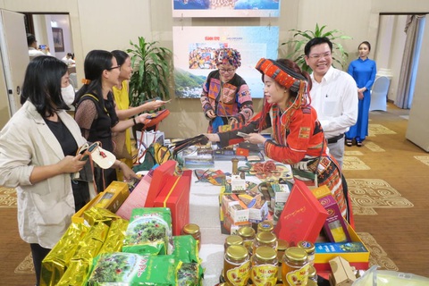 Du lịch biển đảo luôn tạo giá trị cạnh tranh cho du lịch Việt - Ảnh 4. Du lịch biển đảo luôn tạo giá trị cạnh tranh cho du lịch Việt - Ảnh 4.