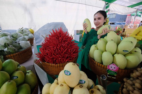 Cá tra cùng 300 nông sản Đồng Tháp lần đầu bơi ra Hà Nội - Ảnh 3. Cá tra cùng 300 nông sản Đồng Tháp lần đầu bơi ra Hà Nội - Ảnh 3.