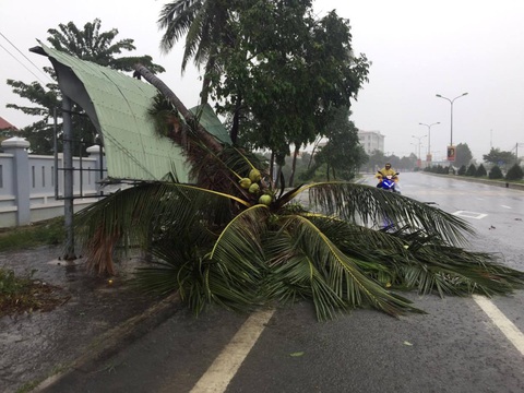 Thủ tướng: Bão 13 mạnh, người dân hạn chế ra đường khi bão đổ bộ - Ảnh 2. Thủ tướng: Bão 13 mạnh, người dân hạn chế ra đường khi bão đổ bộ - Ảnh 2.