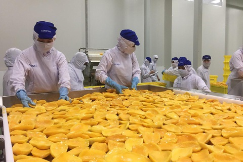Đại dịch và cơ hội cho nông sản Việt - Ảnh 1. Đại dịch và cơ hội cho nông sản Việt - Ảnh 1.