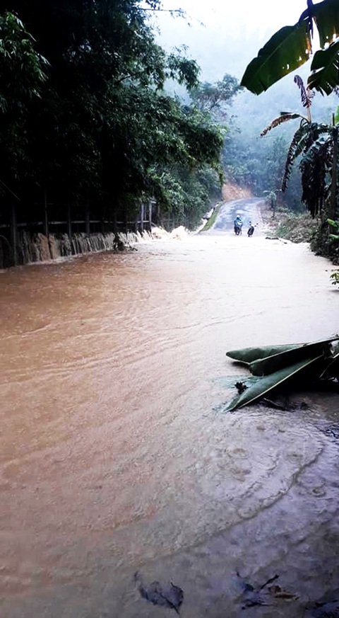 Mưa lớn, nước sông dâng quá nhanh, Quảng Nam lại ngập sâu - Ảnh 6. Mưa lớn, nước sông dâng quá nhanh, Quảng Nam lại ngập sâu - Ảnh 6.