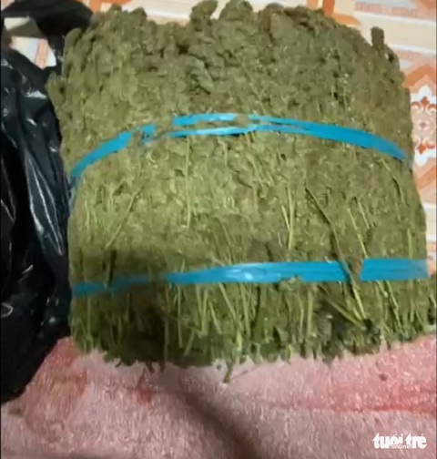 Phát hiện vụ vận chuyển gần 12kg thảo mộc nghi là cần sa - Ảnh 2. Phát hiện vụ vận chuyển gần 12kg thảo mộc nghi là cần sa - Ảnh 2.