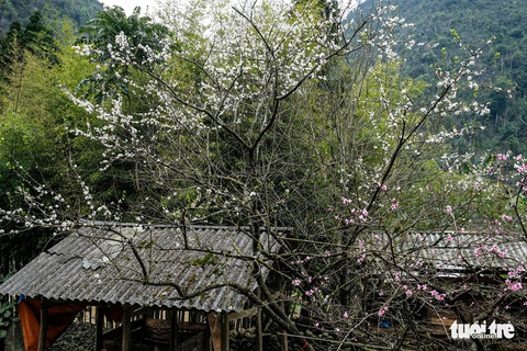 Có nên thu phí để phát triển du lịch cao nguyên đá Đồng Văn? - Ảnh 8. Có nên thu phí để phát triển du lịch cao nguyên đá Đồng Văn? - Ảnh 8.