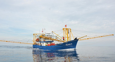 Ông Cao báo bão - Ảnh 1. Ông Cao báo bão - Ảnh 1.