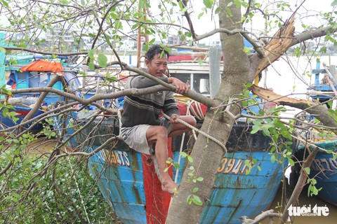 Ngư dân Đà Nẵng đưa thuyền vào sâu sông Hàn, nhường chỗ cho tàu tỉnh bạn trú bão - Ảnh 3. Ngư dân Đà Nẵng đưa thuyền vào sâu sông Hàn, nhường chỗ cho tàu tỉnh bạn trú bão - Ảnh 3.