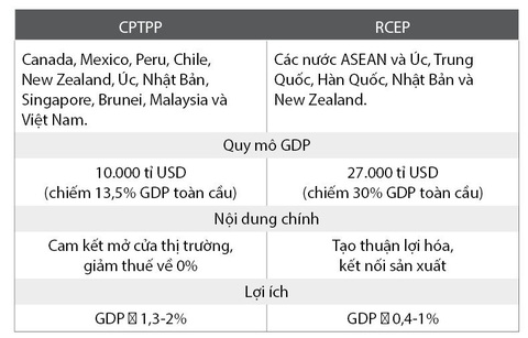 Bộ trưởng Bộ Công thương nói gì về siêu hiệp định RCEP? - Ảnh 3. Bộ trưởng Bộ Công thương nói gì về siêu hiệp định RCEP? - Ảnh 3.