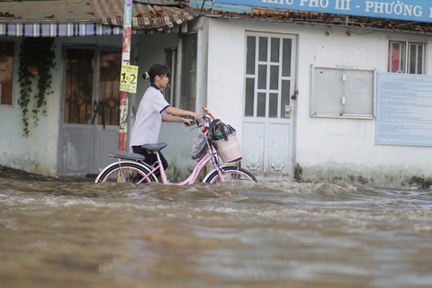 Sài Gòn vật lộn với triều cường mênh mông, máy bơm nước hoạt động mệt nghỉ - Ảnh 7. Sài Gòn vật lộn với triều cường mênh mông, máy bơm nước hoạt động mệt nghỉ - Ảnh 7.