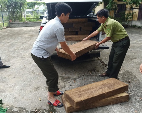 Xe chở gỗ lậu lọt qua 3 trạm kiểm lâm, gặp cảnh sát giao thông mới bị bắt - Ảnh 1. Xe chở gỗ lậu lọt qua 3 trạm kiểm lâm, gặp cảnh sát giao thông mới bị bắt - Ảnh 1.