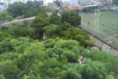 Sài Gòn nhớ nhớ thương thương - Kỳ 8: Lũy Bán Bích từng ngát hương ngâu - Ảnh 1. Sài Gòn nhớ nhớ thương thương - Kỳ 8: Lũy Bán Bích từng ngát hương ngâu - Ảnh 1.