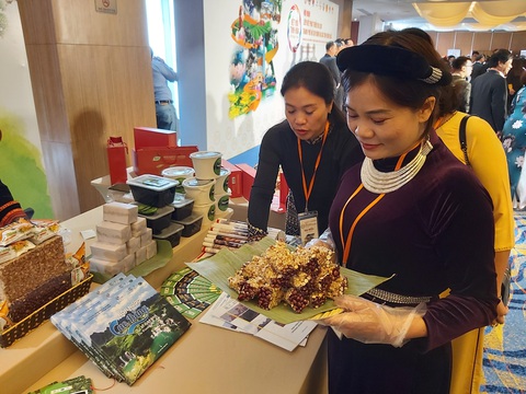 Cánh cửa mới cho du lịch TP.HCM tiếp cận thị trường vùng Đông Bắc - Ảnh 1. Cánh cửa mới cho du lịch TP.HCM tiếp cận thị trường vùng Đông Bắc - Ảnh 1.