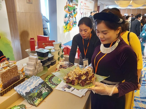 Du lịch liên kết vượt bão - Ảnh 2. Du lịch liên kết vượt bão - Ảnh 2.