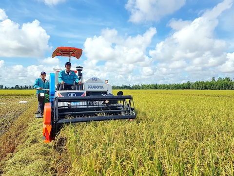 Cởi trói đất đai để làm ăn lớn - Ảnh 1. Cởi trói đất đai để làm ăn lớn - Ảnh 1.