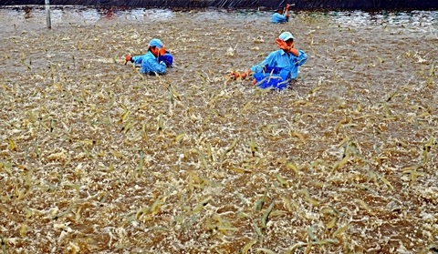Cởi trói đất đai để làm ăn lớn - Ảnh 4. Cởi trói đất đai để làm ăn lớn - Ảnh 4.