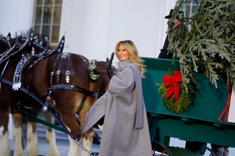 Bà Melania Trump tiếp nhận cây thông Giáng sinh Nhà Trắng 2020 - Ảnh 1. Bà Melania Trump tiếp nhận cây thông Giáng sinh Nhà Trắng 2020 - Ảnh 1.