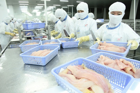 Doanh nghiệp xuất khẩu thủy hải sản gặp khó do Trung Quốc siết chặt kiểm soát - Ảnh 1. Doanh nghiệp xuất khẩu thủy hải sản gặp khó do Trung Quốc siết chặt kiểm soát - Ảnh 1.