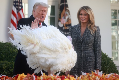 Ông Trump xá tội gà tây tại Nhà Trắng, không đề cập gì bầu cử Mỹ - Ảnh 1. Ông Trump xá tội gà tây tại Nhà Trắng, không đề cập gì bầu cử Mỹ - Ảnh 1.