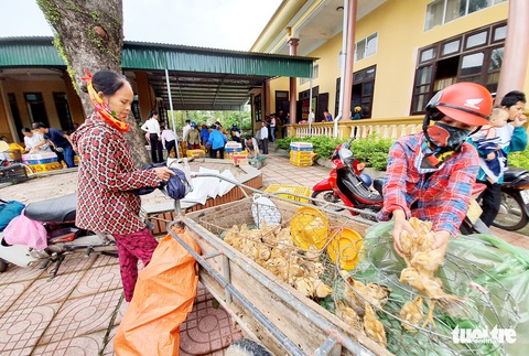 Bà con vùng lũ Hà Tĩnh vui mừng nhận gà giống - Ảnh 4. Bà con vùng lũ Hà Tĩnh vui mừng nhận gà giống - Ảnh 4.