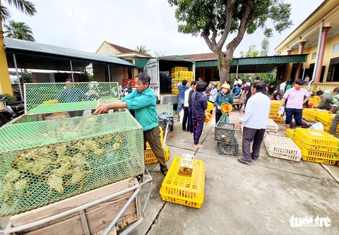 Bà con vùng lũ Hà Tĩnh vui mừng nhận gà giống - Ảnh 2. Bà con vùng lũ Hà Tĩnh vui mừng nhận gà giống - Ảnh 2.