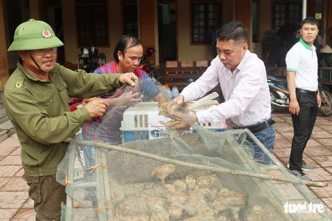 Bà con vùng lũ Hà Tĩnh vui mừng nhận gà giống - Ảnh 5. Bà con vùng lũ Hà Tĩnh vui mừng nhận gà giống - Ảnh 5.