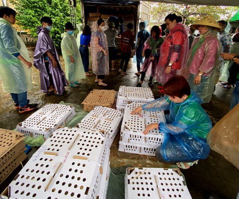 Vượt ngàn cây số mang gà, vịt, lợn giống về tặng dân vùng lũ - Ảnh 2. Vượt ngàn cây số mang gà, vịt, lợn giống về tặng dân vùng lũ - Ảnh 2.