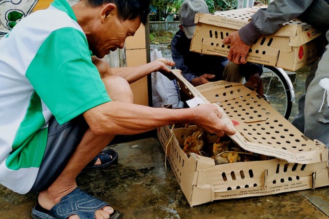 Vượt ngàn cây số mang gà, vịt, lợn giống về tặng dân vùng lũ - Ảnh 1. Vượt ngàn cây số mang gà, vịt, lợn giống về tặng dân vùng lũ - Ảnh 1.