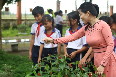Bộ GD-ĐT điều chỉnh chương trình lớp 5, lớp 9 hiện hành - Ảnh 1. Bộ GD-ĐT điều chỉnh chương trình lớp 5, lớp 9 hiện hành - Ảnh 1.