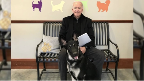 Ông Biden bị trẹo chân vì chơi với chó cưng Major - Ảnh 1. Ông Biden bị trẹo chân vì chơi với chó cưng Major - Ảnh 1.