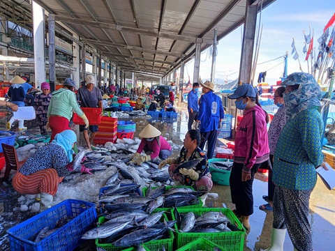 Nha Trang đang nắng đẹp trước bão số 10 đổ bộ, không được chủ quan - Ảnh 6. Nha Trang đang nắng đẹp trước bão số 10 đổ bộ, không được chủ quan - Ảnh 6.