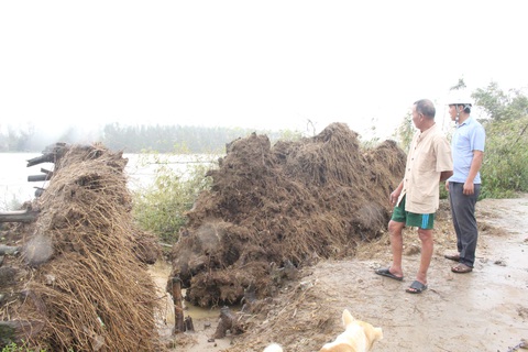 Sạt lở dữ dội, sông Vệ ngoạm bờ, 160 hộ dân nơm nớp lo âu - Ảnh 2. Sạt lở dữ dội, sông Vệ ngoạm bờ, 160 hộ dân nơm nớp lo âu - Ảnh 2.