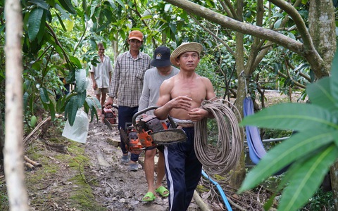 Vua khỉ miền Tây - Ảnh 3. Vua khỉ miền Tây - Ảnh 3.