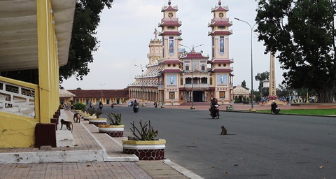 Tây Ninh: Khỉ liên tục tấn công trường học, nhà dân gây thương tích - Ảnh 4. Tây Ninh: Khỉ liên tục tấn công trường học, nhà dân gây thương tích - Ảnh 4.