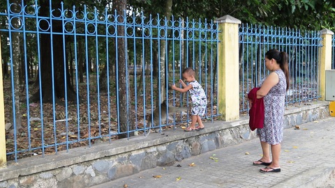 Tây Ninh: Khỉ liên tục tấn công trường học, nhà dân gây thương tích - Ảnh 2. Tây Ninh: Khỉ liên tục tấn công trường học, nhà dân gây thương tích - Ảnh 2.