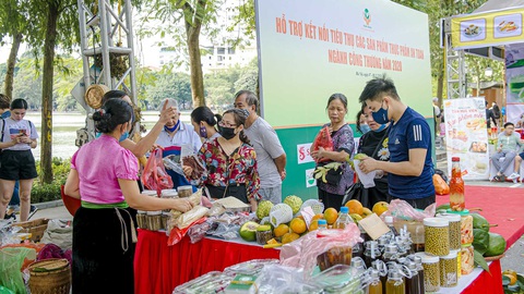Ban Bí thư: Các đơn vị sử dụng ngân sách phải ưu tiên dùng hàng Việt - Ảnh 1. Ban Bí thư: Các đơn vị sử dụng ngân sách phải ưu tiên dùng hàng Việt - Ảnh 1.
