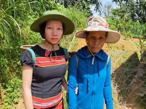 Hai bông hoa dại kiên cường giữa đại ngàn Trường Sơn - Ảnh 1. Hai bông hoa dại kiên cường giữa đại ngàn Trường Sơn - Ảnh 1.