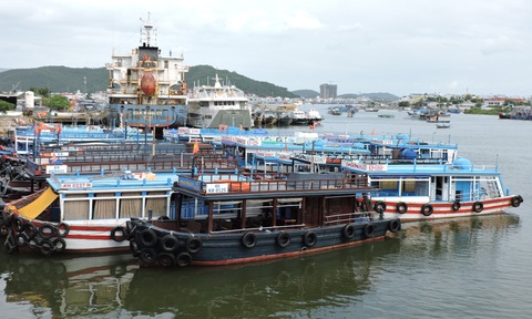 Phú Yên, Khánh Hòa cấm biển từ sáng nay, phòng bão số 12 - Ảnh 2. Phú Yên, Khánh Hòa cấm biển từ sáng nay, phòng bão số 12 - Ảnh 2.