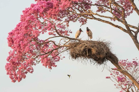 Ngắm thiên nhiên hoang dã, tự vấn con người đang làm gì thiên nhiên? - Ảnh 8. Ngắm thiên nhiên hoang dã, tự vấn con người đang làm gì thiên nhiên? - Ảnh 8.