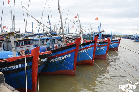 Phú Yên, Khánh Hòa cấm biển từ sáng nay, phòng bão số 12 - Ảnh 1. Phú Yên, Khánh Hòa cấm biển từ sáng nay, phòng bão số 12 - Ảnh 1.