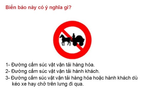 Sát hạch lý thuyết lái ôtô: gần 16% số câu hỏi không cần thiết? - Ảnh 2.