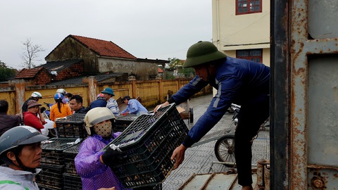 Trao sinh kế cho người dân vùng lũ Quảng Bình - Ảnh 5. Trao sinh kế cho người dân vùng lũ Quảng Bình - Ảnh 5.