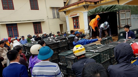 Trao sinh kế cho người dân vùng lũ Quảng Bình - Ảnh 6. Trao sinh kế cho người dân vùng lũ Quảng Bình - Ảnh 6.