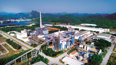 Phát triển vùng nguyên liệu, giảm gánh nặng cho ngành giấy - Ảnh 1. Phát triển vùng nguyên liệu, giảm gánh nặng cho ngành giấy - Ảnh 1.
