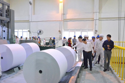 Phát triển vùng nguyên liệu, giảm gánh nặng cho ngành giấy - Ảnh 2. Phát triển vùng nguyên liệu, giảm gánh nặng cho ngành giấy - Ảnh 2.