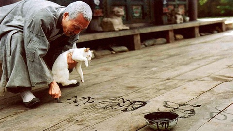 Đạo diễn Kim Ki Duk qua đời vì COVID-19 - Ảnh 4. Đạo diễn Kim Ki Duk qua đời vì COVID-19 - Ảnh 4.